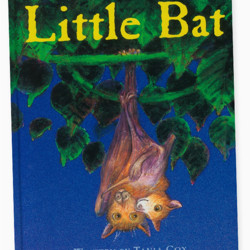 Scholastic Little Bat Book